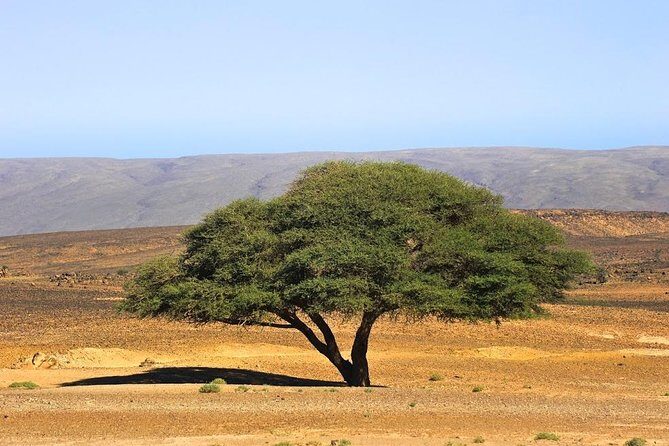 Excursion Erg chigaga One Night - Why Reviewers Love This Tour