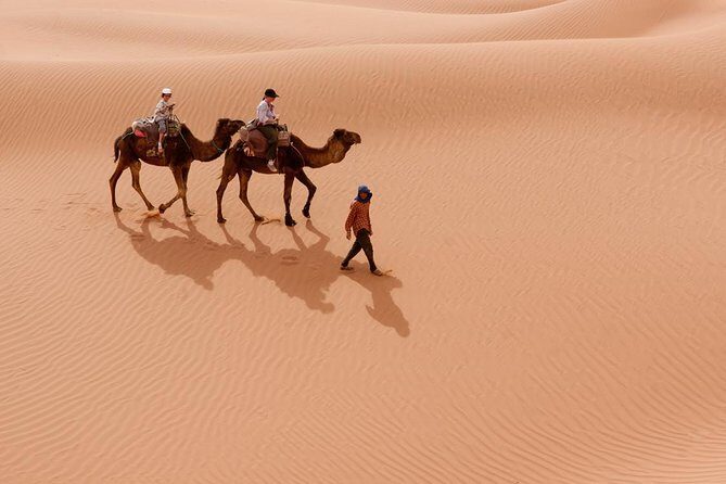 Excursion Erg chigaga One Night - Who Will Love This Experience?