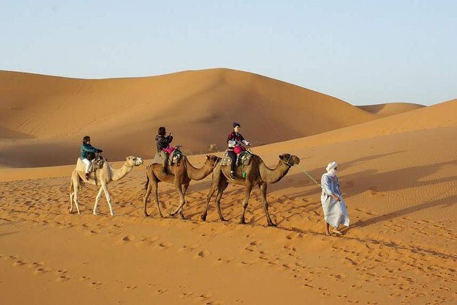 Excursion Fez-Merzouga-Fès 2 days - Price & Value