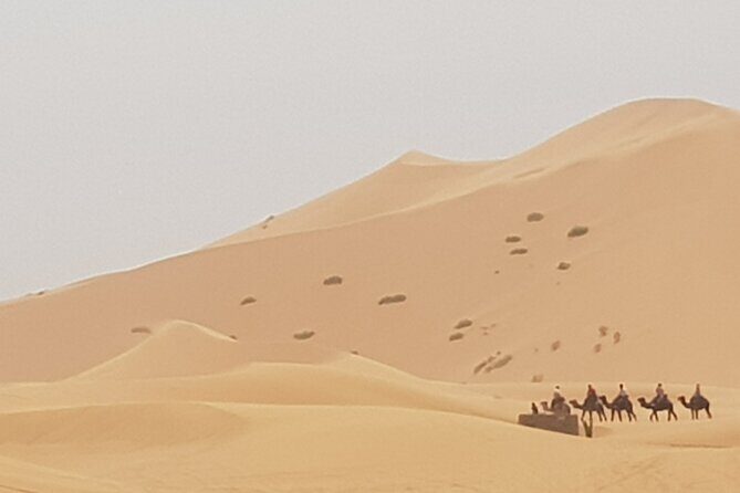 Excursion Fez-Merzouga-Fès 2 days - FAQ