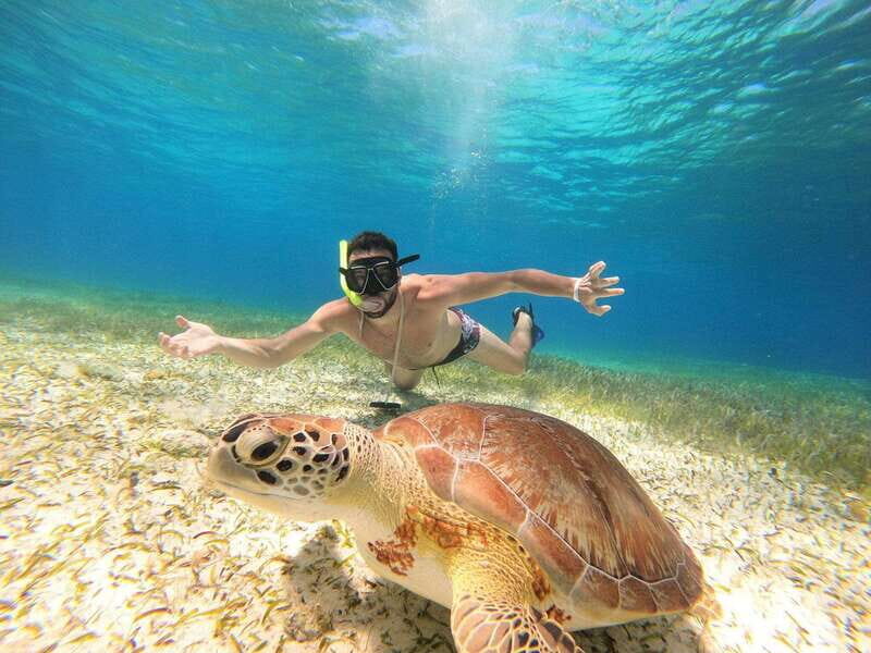 Excursion FRANCOPHONE inoubliable Cozumel El Cielo et tortue - What’s Included and What’s Not
