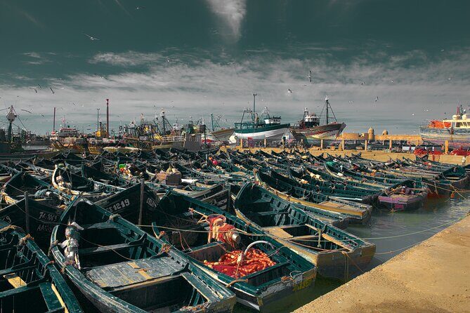 Excursion Full Day (Private) from Marrakech to Essaouira - The Value of This Tour
