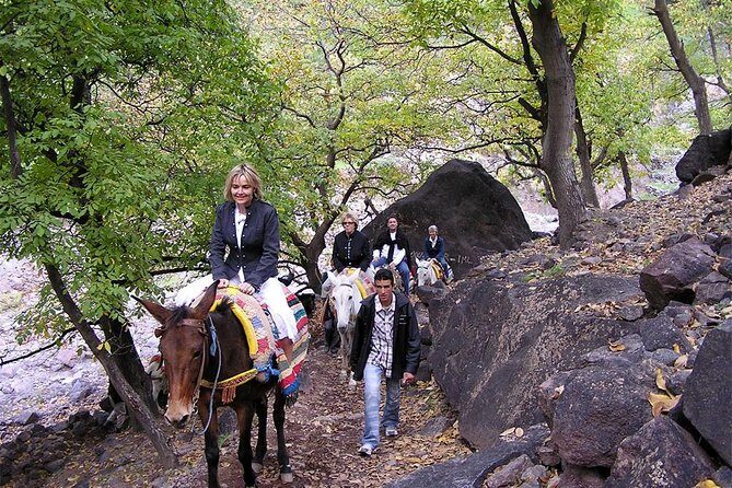 Excursion: Full Day trip to Imlil valley and Toubkal from Marrakech - A Closer Look at the Tour Itinerary