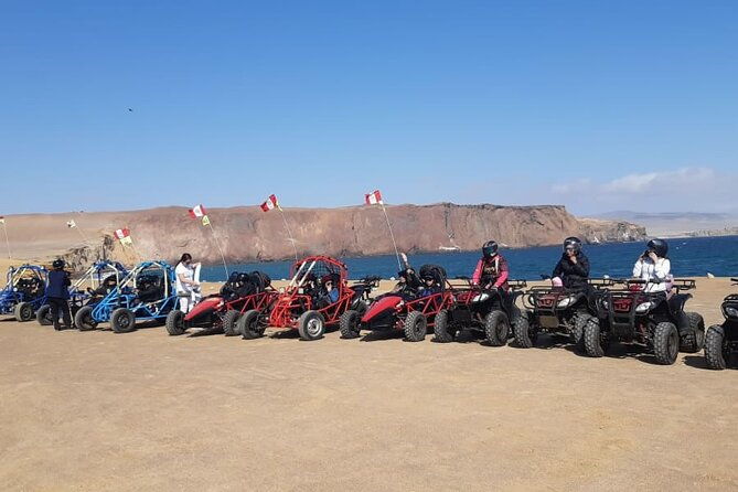 excursion-in-minibuggys-in-paracas-national-reserve