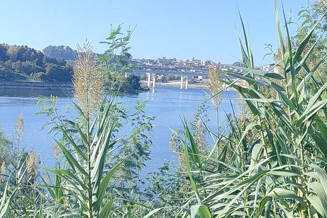 excursion-in-porto-for-sport-lovers