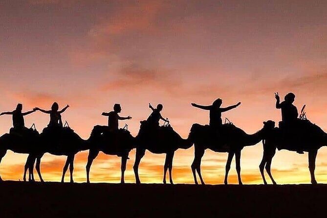 Excursion Les Trois Vallées-Quad Dromedary and dinner show - A Deep Dive Into the Marrakech Adventure: What to Expect