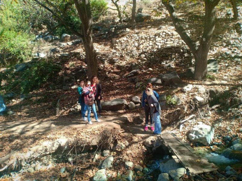 Excursion Ourika valley and atlas mountains - Authentic Experiences and Unique Insights from Reviews