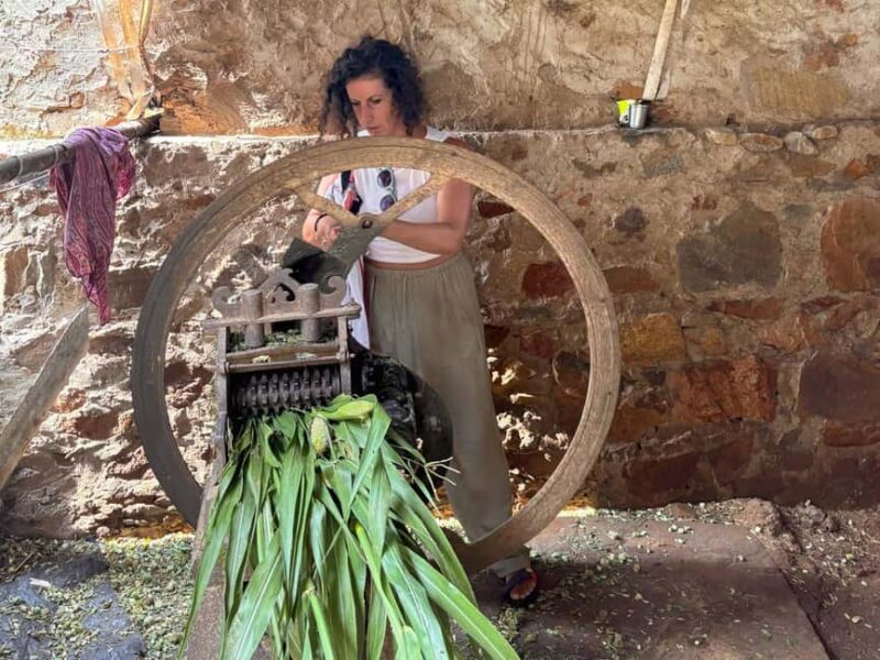 Excursion to Abhaneri and the Monkey Temple from Jaipur - Summary Reassessing the Value