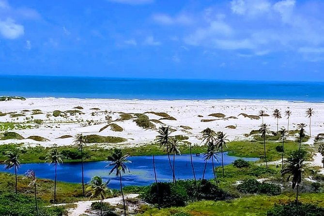 excursion-to-aguas-belas-with-buggy-ride-to-barra-nova