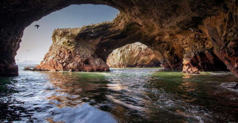 excursion-to-ballestas-islands-and-paracas-national-reserve