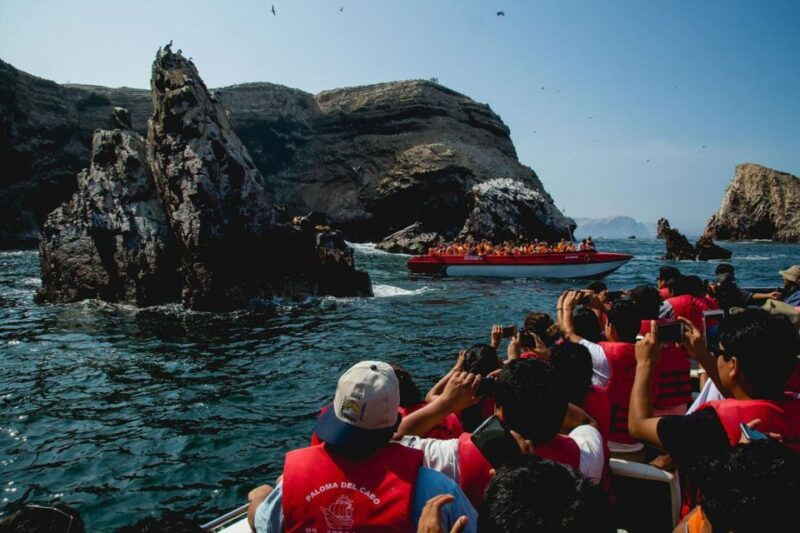 excursion-to-ballestas-islands-and-paracas-national-reserve