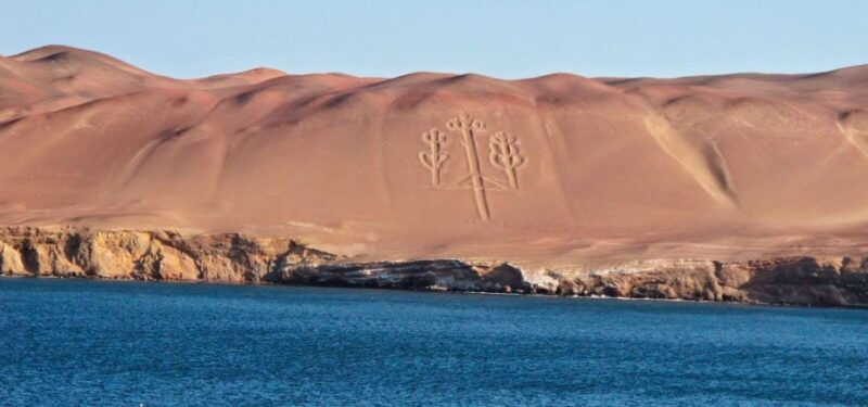 excursion-to-ballestas-islands-and-paracas-national-reserve