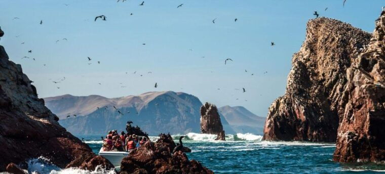 excursion-to-ballestas-islands-and-paracas-national-reserve