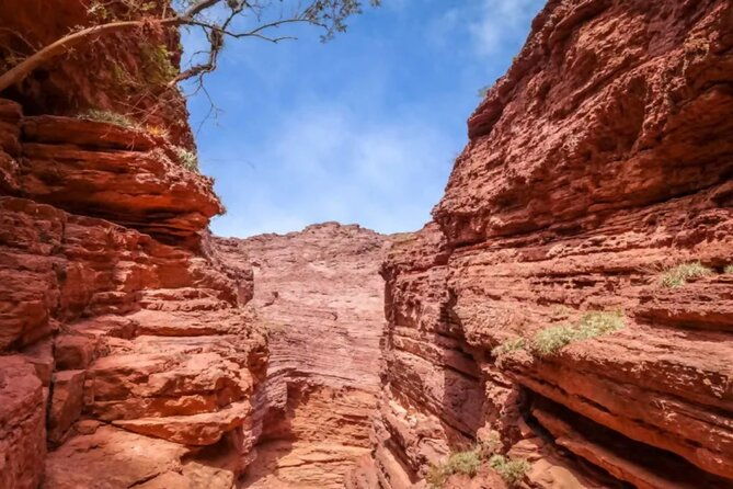 excursion-to-cafayate-and-quebrada-de-las-conchas