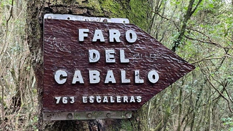 EXCURSION TO CANTABRIA: Santander | Santoña | Laredo - FAQs
