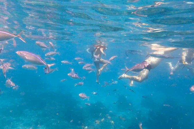 excursion-to-catalina-island-and-snorkeling-from-punta-cana