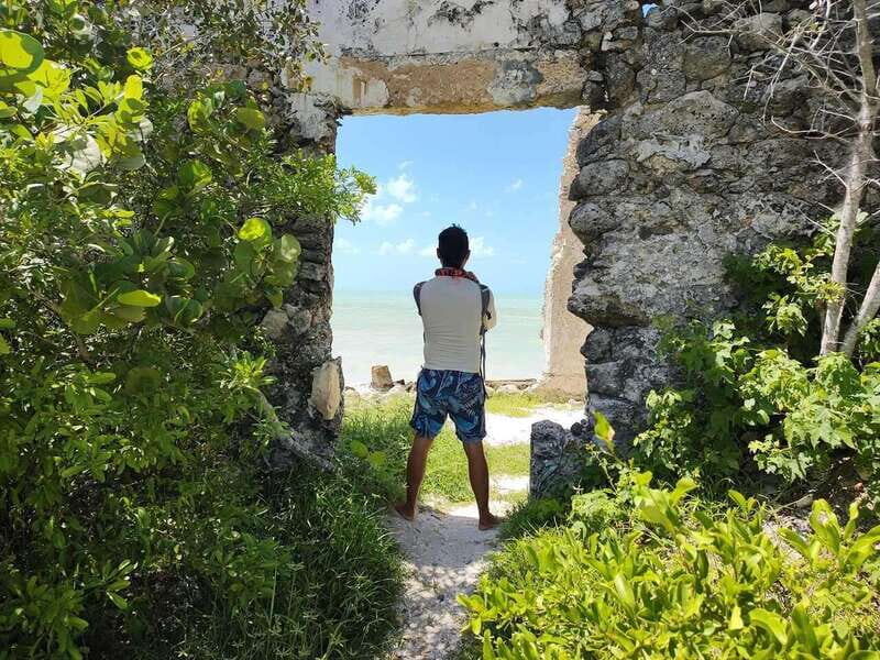 Excursion to Celestun, Swimming, Hiking & Boat Ride - The Sum Up: Is This Tour Right for You?