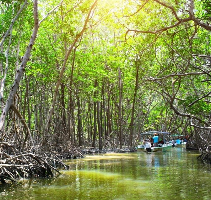 Excursion to Celestun, Swimming, Hiking & Boat Ride - Frequently Asked Questions