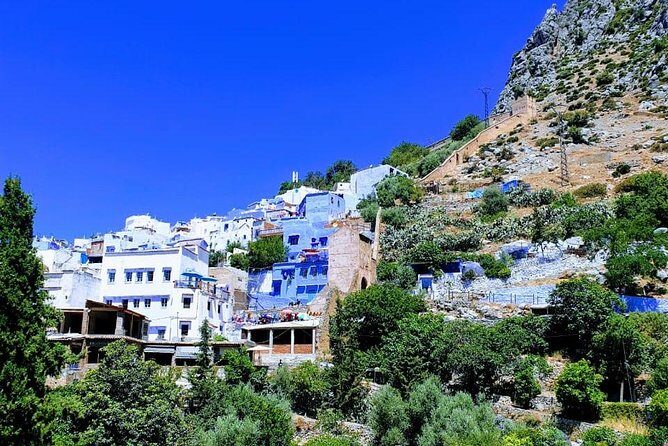 Excursion to Chefchaouen (The Blue City) from Tangier - What Travelers Say: Authentic Experiences and Friendly Hosts