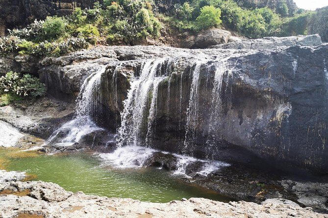 Excursion to Debre Libanos Monastery - Authentic Experiences and Practical Insights
