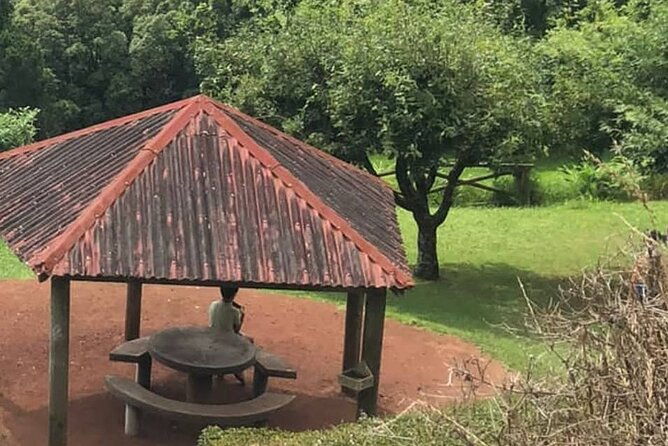 excursion-to-furnas-and-nordeste-with-furnas-stew