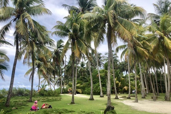 excursion-to-jhony-cay-aquarium-bay-tour-and-mangroves