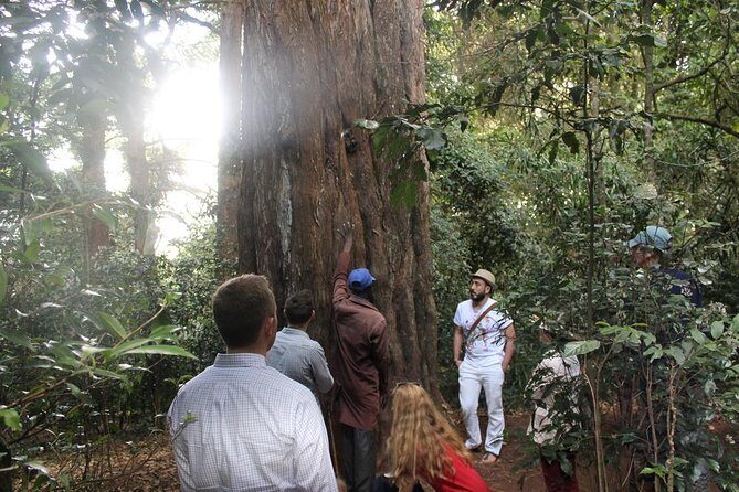 Excursion to Kiambethu Tea Farm - Final Thoughts: Who Should Consider This Tour?