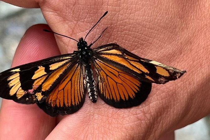 excursion-to-la-plata-waterfall-in-ibague-490-meters-the-highest-in-tolima