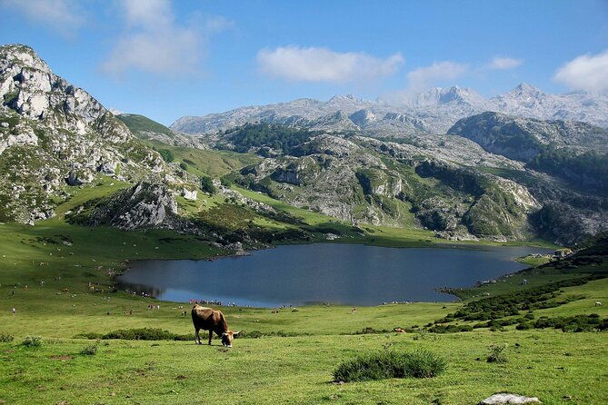 excursion-to-lakes-of-covadonga-and-cangas-de-onis-from-oviedo
