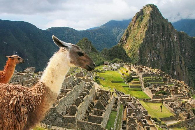 excursion-to-machupicchu-with-train-vistadome-full-day