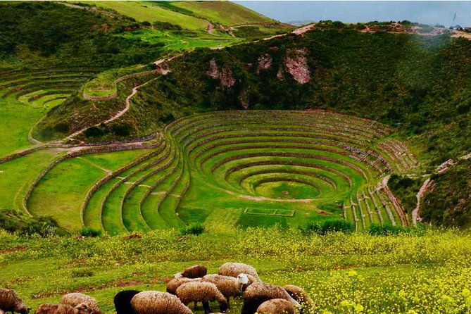 excursion-to-moray-maras-salt-mines-group-tour