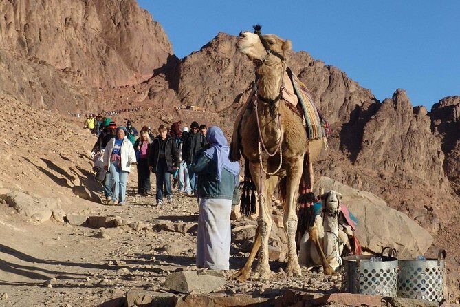 Excursion to Mosesberg and Kathrinen Monastery from Sharm el Sheikh - An In-Depth Look at This Sinai Adventure