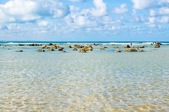 excursion-to-pipa-in-rio-grande-do-norte