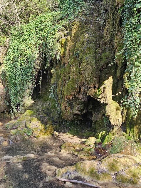 excursion-to-plitvice-national-park