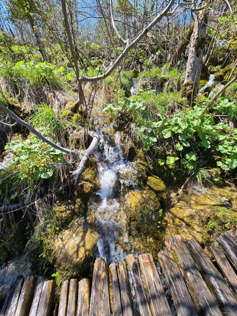 excursion-to-plitvice-national-park