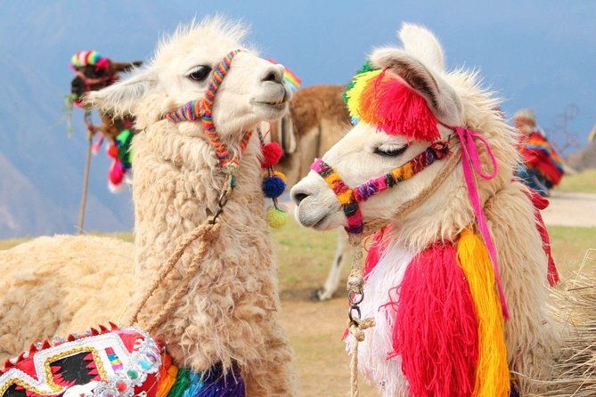 excursion-to-rainbow-mountain-from-cusco-private-tour