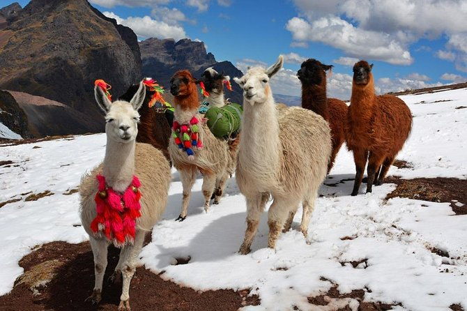 excursion-to-rainbow-mountain-full-day