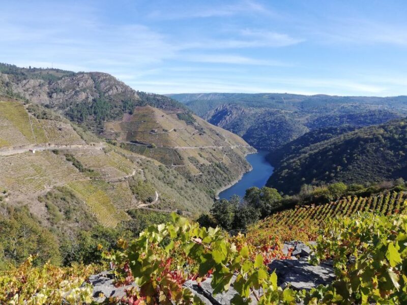 Excursion to Ribeira Sacra and Ourense - FAQ