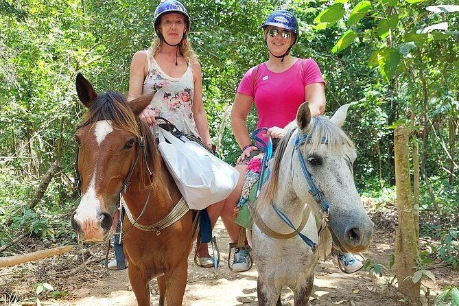 excursion-to-samana-and-el-limon-waterfall-from-punta-cana