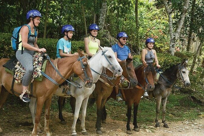 excursion-to-samana-and-el-limon-waterfall-from-punta-cana