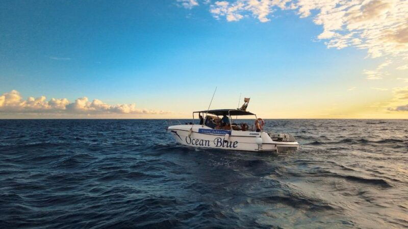 excursion-to-see-the-whales-3-hours