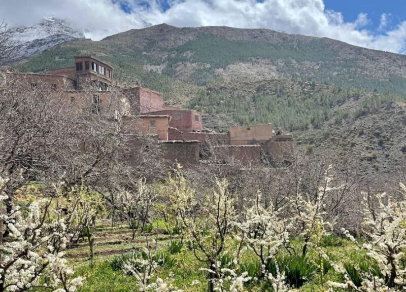 Excursion To The Atlas Mountain From Marrakech - Final Thoughts