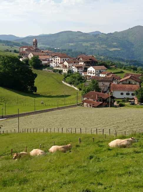 Excursion to the Baztan Valley, Zugarramurdi, and Señorío de Bertiz - Practical Tips for Travelers