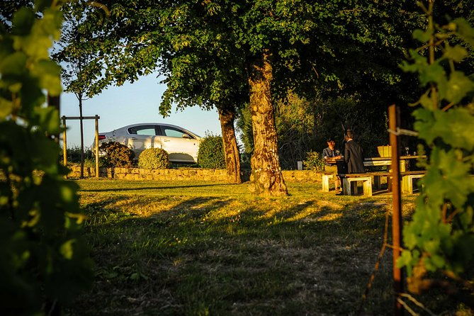 excursion-to-the-champagne-region-and-wine-tasting