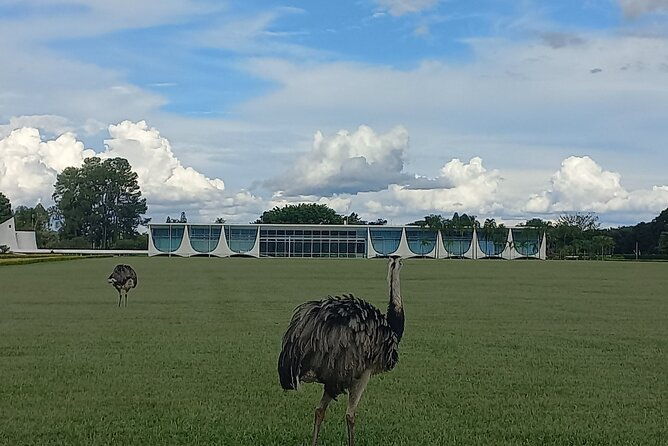 excursion-to-the-city-of-brasilia