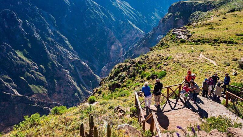 excursion-to-the-colca-canyon-ending-in-puno-2