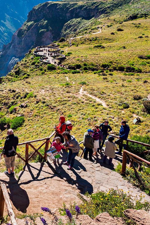 excursion-to-the-colca-canyon-ending-in-puno-2