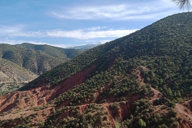 Excursion to the Ourika valleys from Marrakech - Transportation and Timing