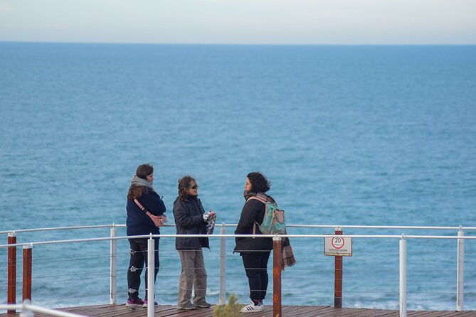 excursion-to-the-valdes-peninsula-from-puerto-madryn