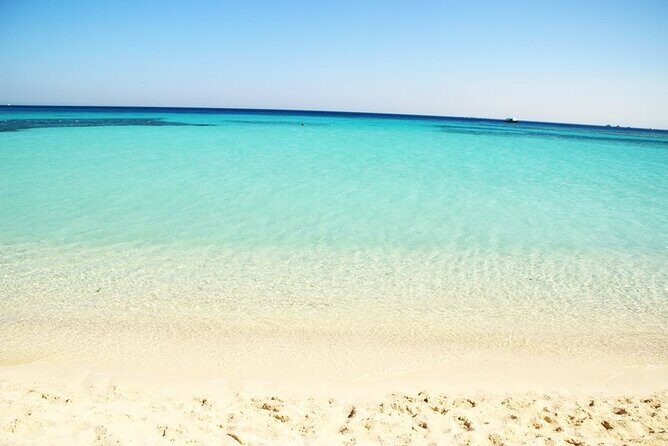 Excursion to the White Island & Ras Mohammed National Park from Sharm El Sheikh - Final Thoughts